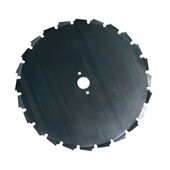 Rodungssägeblatt 200 / 20mm EIA Zahn Freischneider Sägeblatt für Rodung mit der Motorsense Rodungssägeblatt 200 / 20mm EIA Zahn Freischneider Sägeblatt für Rodung mit der Motorsense