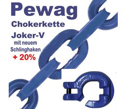 Forstkette Pewag Joker V 3,0m 4-Kant Glieder 8mm mit Profil-Kanten Schlinghaken XF8-G10 + Nadel -Bruchlast 12t