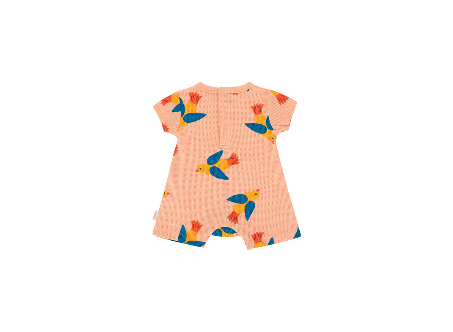 Birds One-Piece papaya