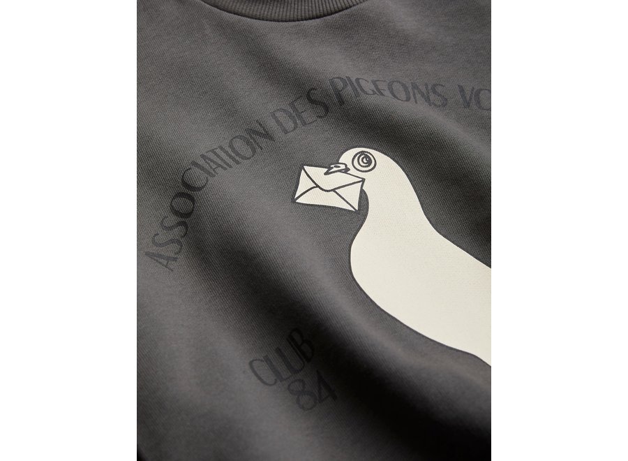 Pigeons sp Sweatshirt