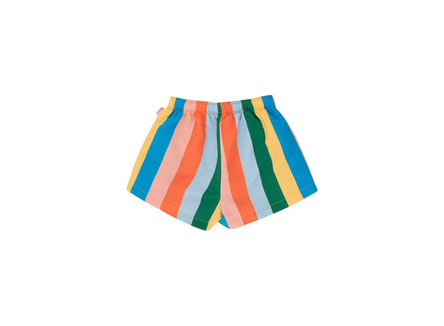 Multicolor Stripes Swimtrunks