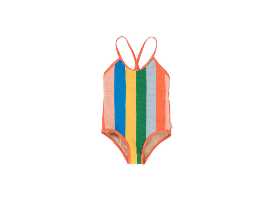 Multicolor Stripes Swimsuit