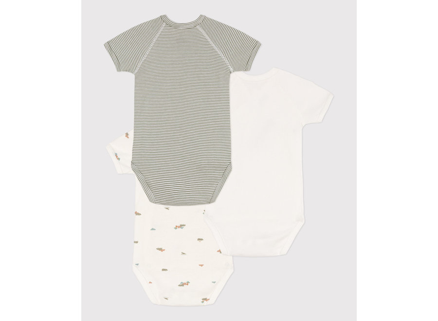 3 pack body set Print