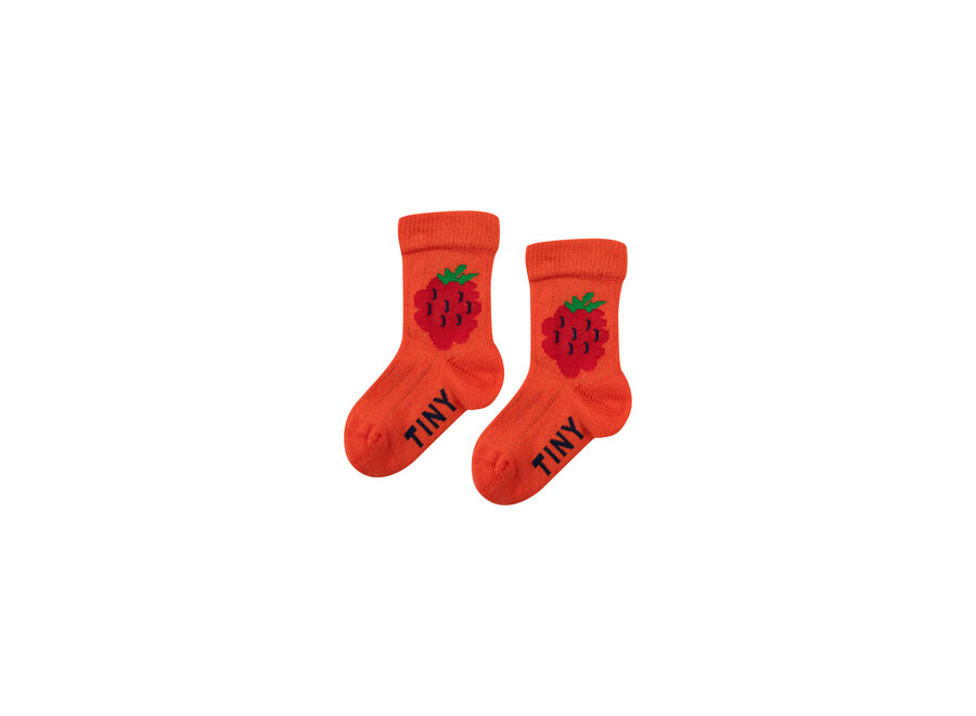 Raspberry Medium Socks Summer Red