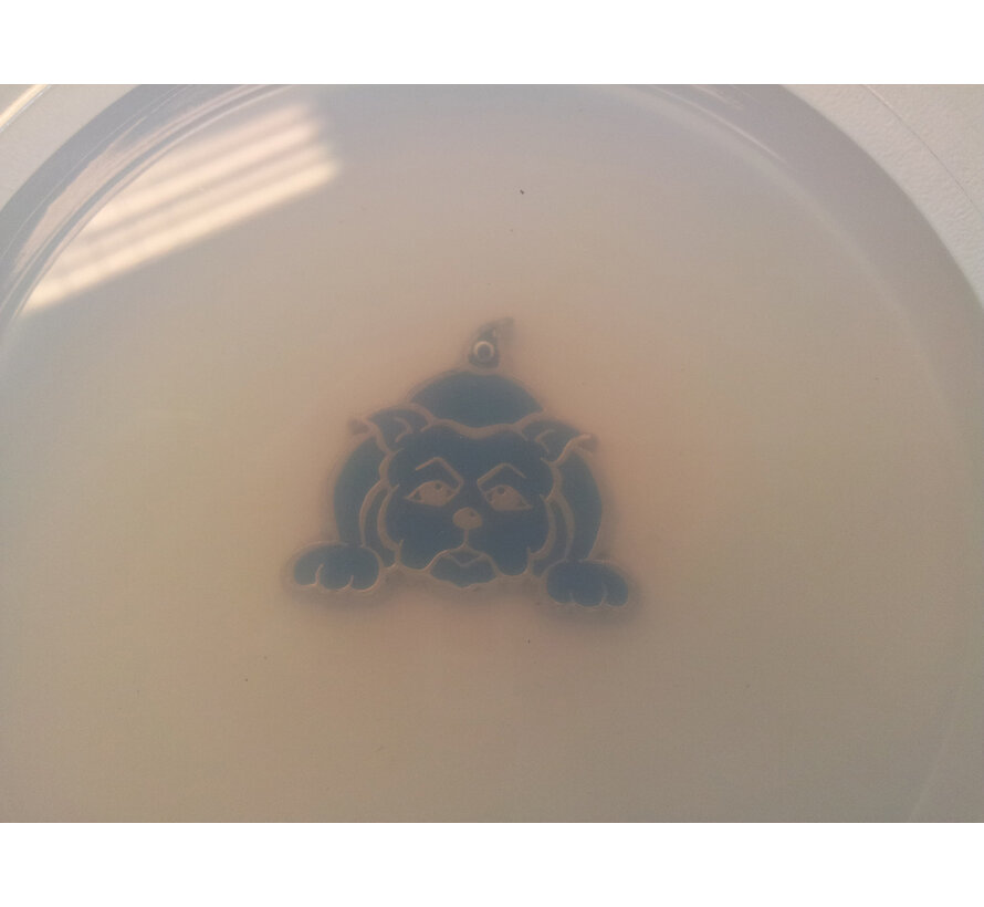 Elastosil Vario 40 + Catalyst Vario / Siliconen Additie Transparant 40 Snel (Hard)