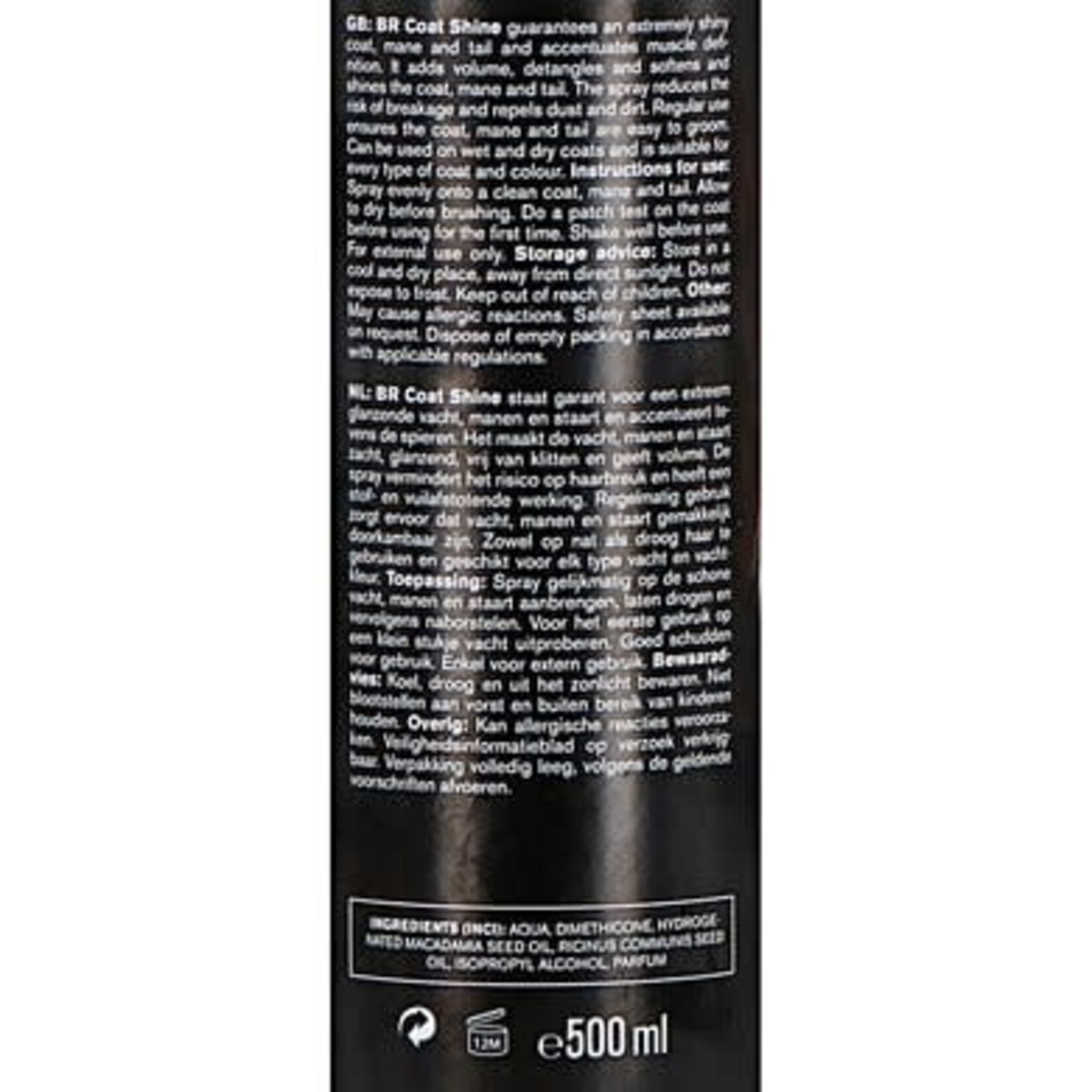 BR BR Coat shine 500ml Spray