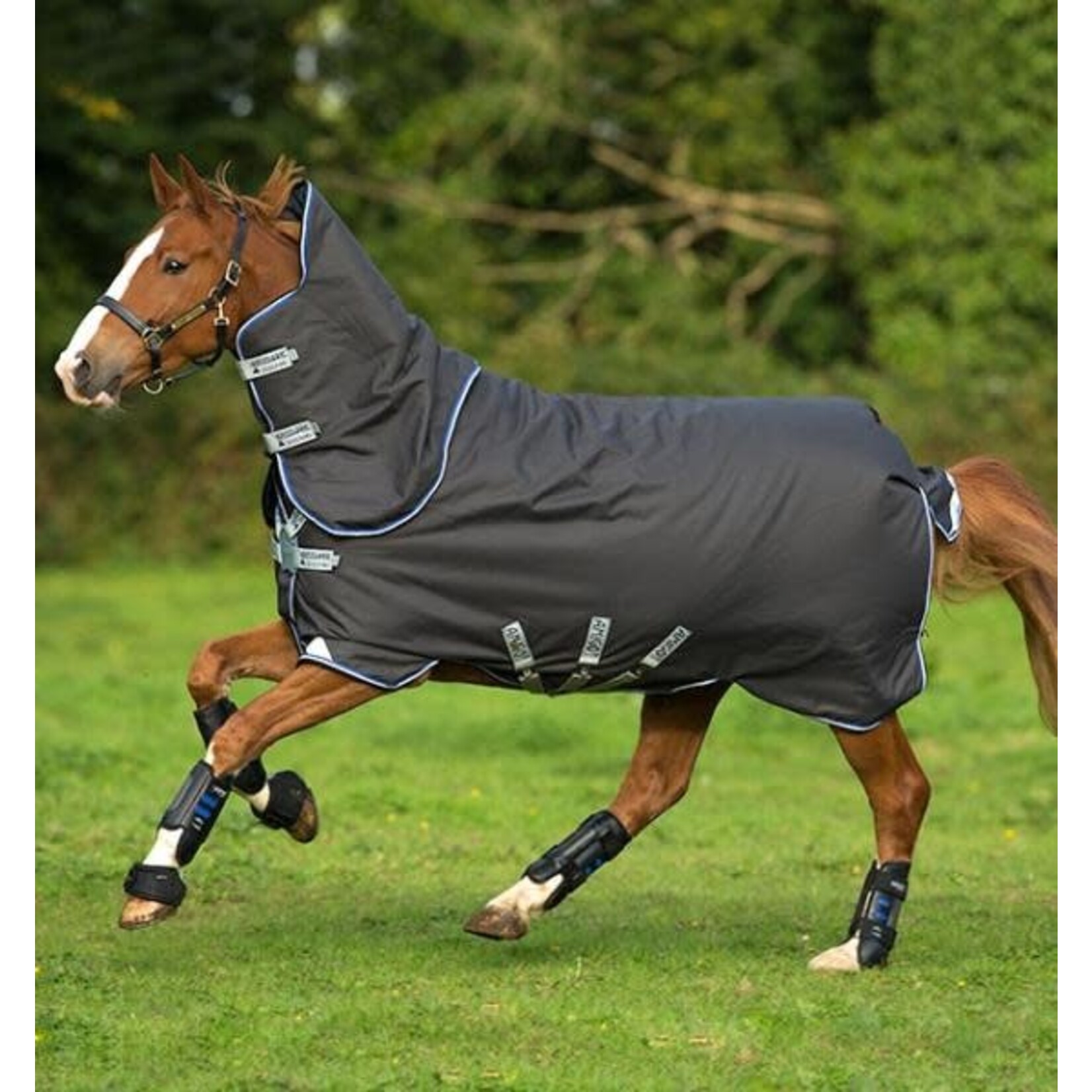 Horseware Amigo Bravo 12 Plus 250 gram