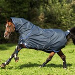 Amigo Amigo Bravo 12 Plus 0 gram