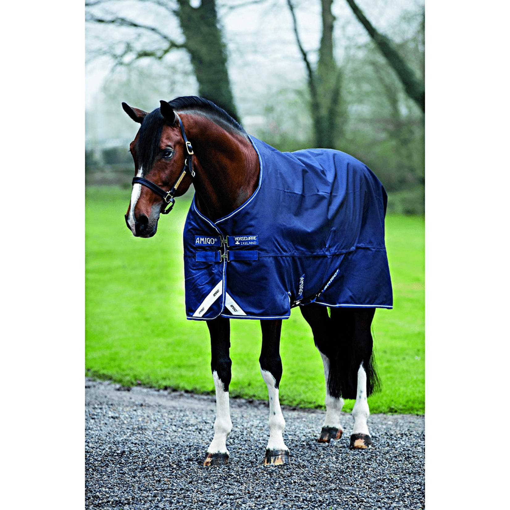 Amigo Amigo Bravo 12 Original 0 gram