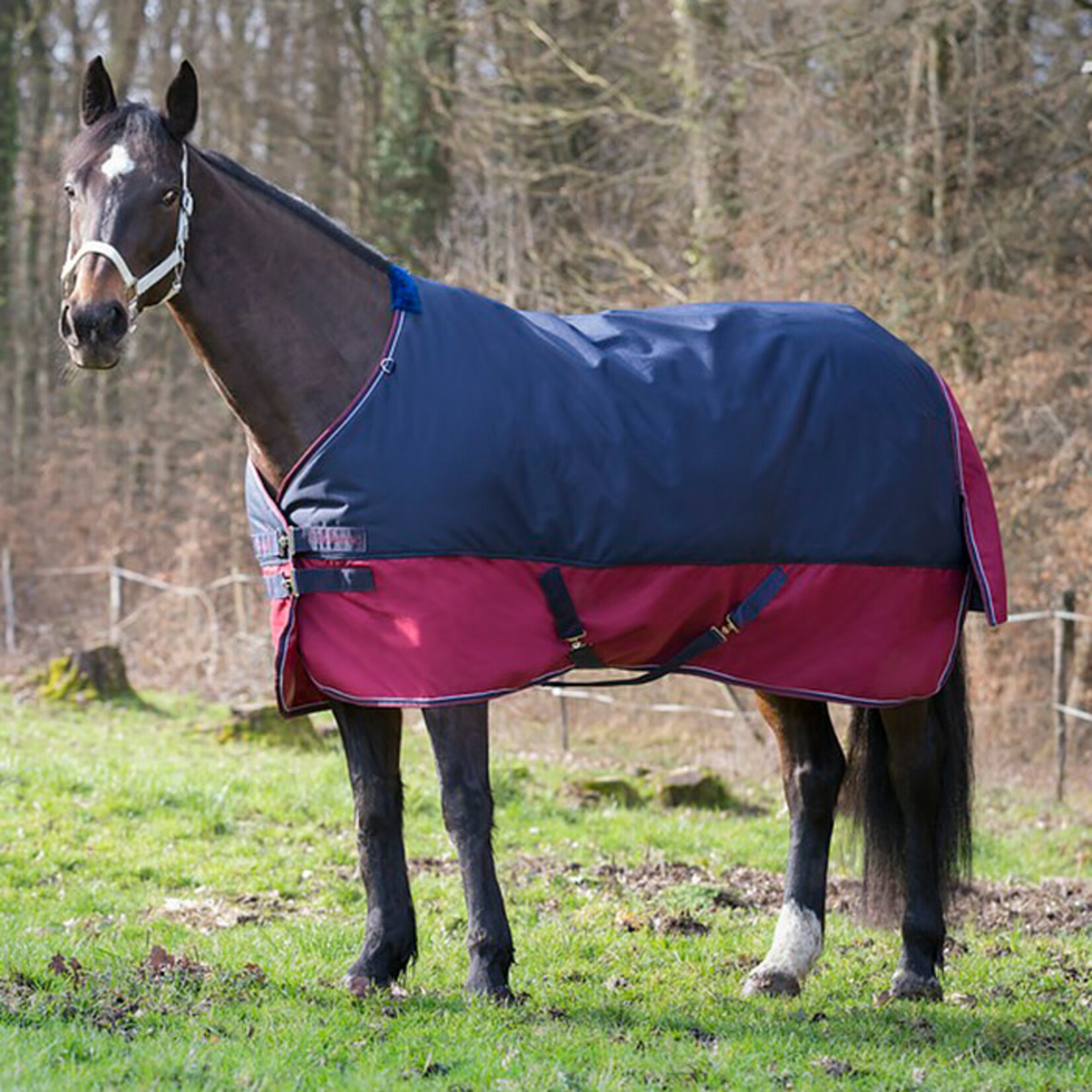 Equithème Equitheme outdoordeken 150gram navy/burgundy