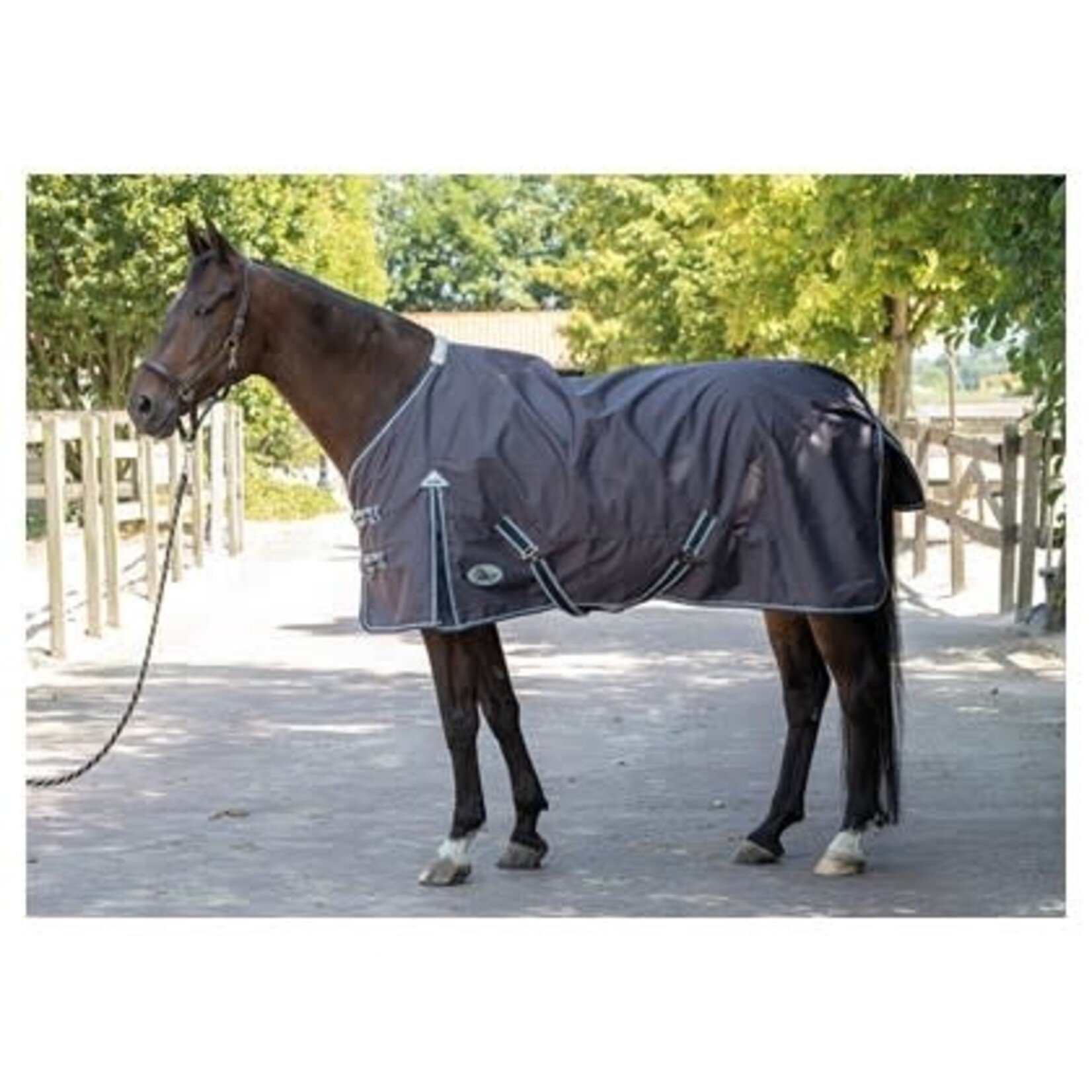 Harry's Horse Harry's Horse outdoordeken thor 0 gram