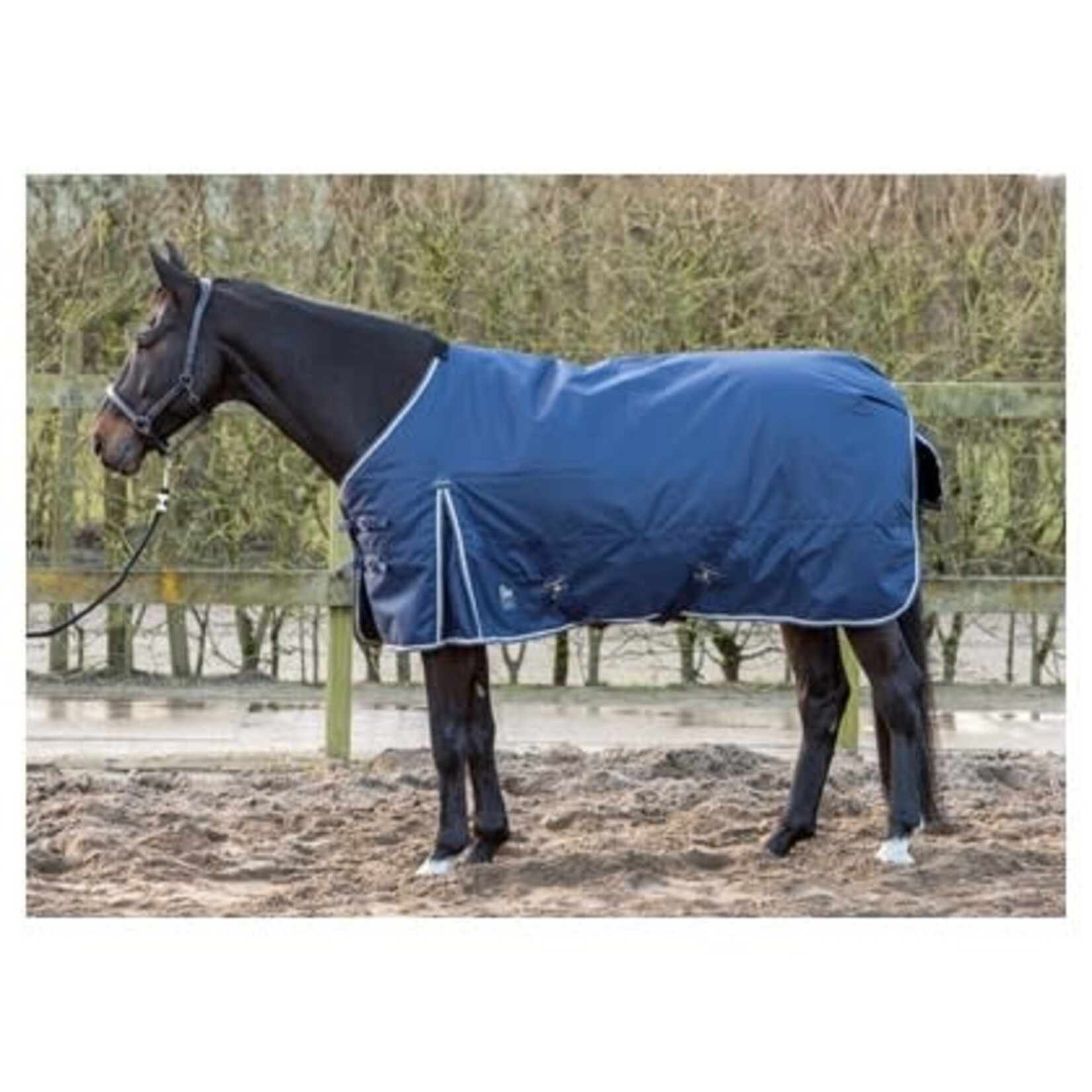 Harry's Horse Harry's Horse outdoordeken thor 100 gram