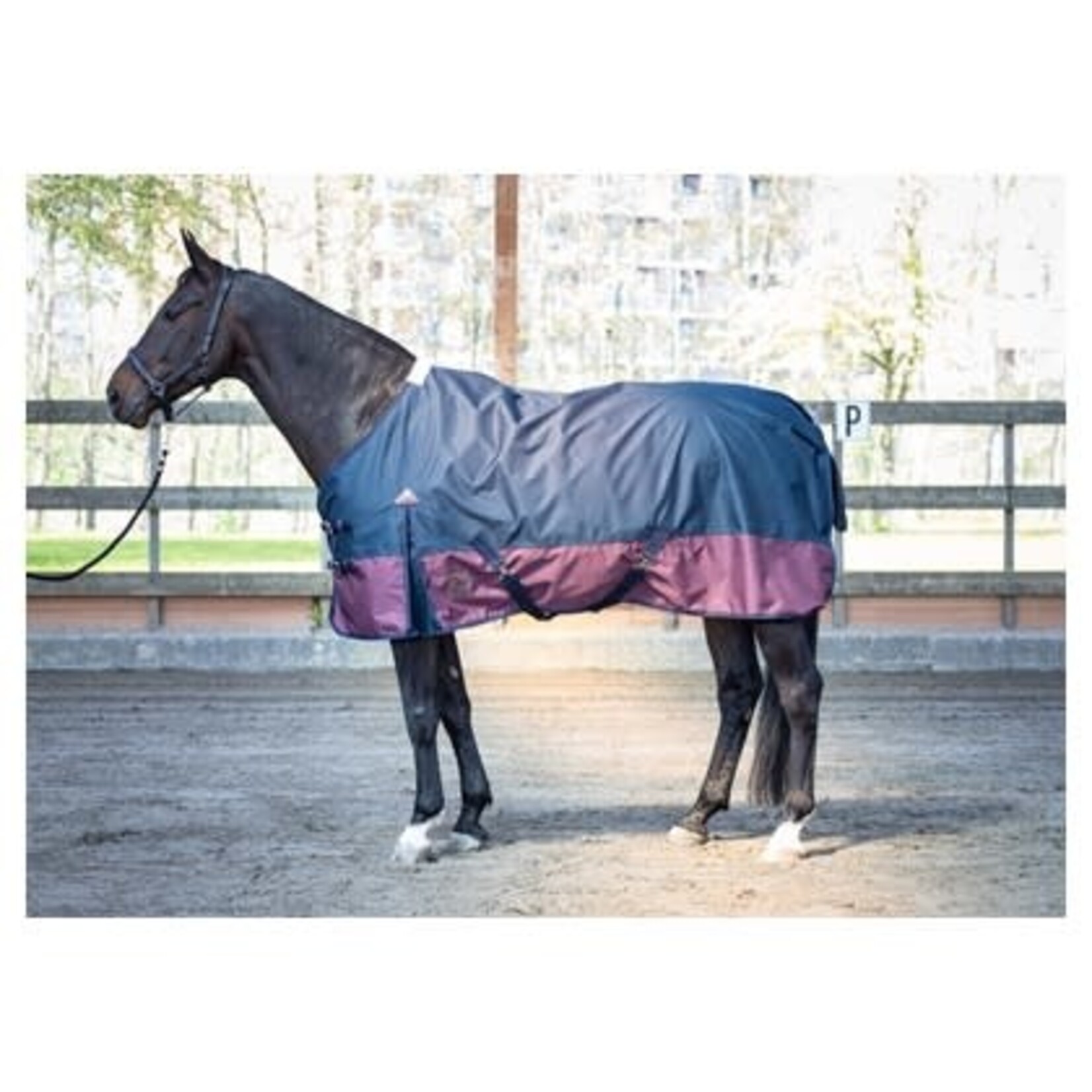 Harry's Horse Harry's Horse outdoordeken thor 0 gram+fleece