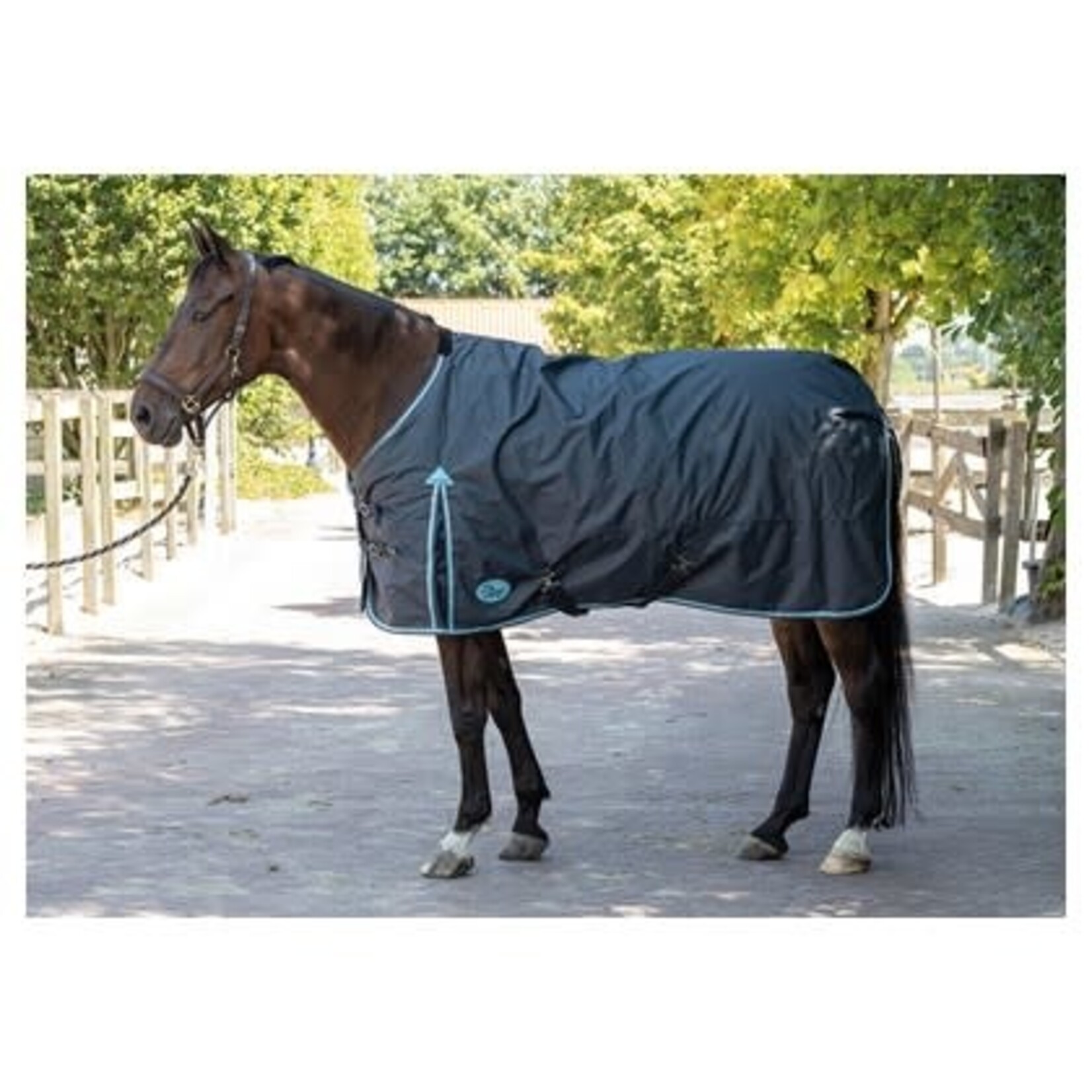 Harry's Horse Harry's Horse outdoordeken thor 200gram