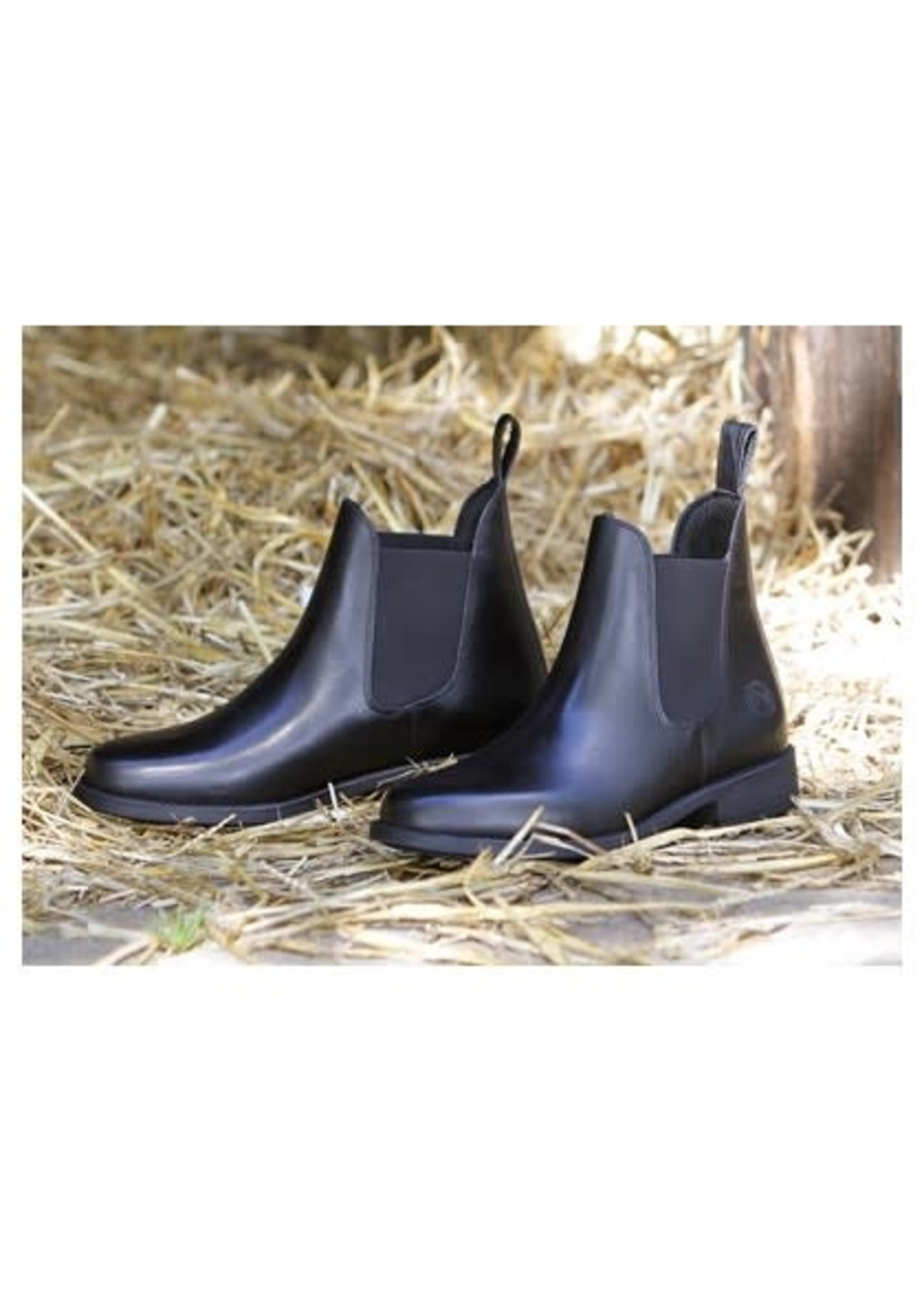 Harry's Horse Jodhpur Saint zwart Paardensport Cavallino