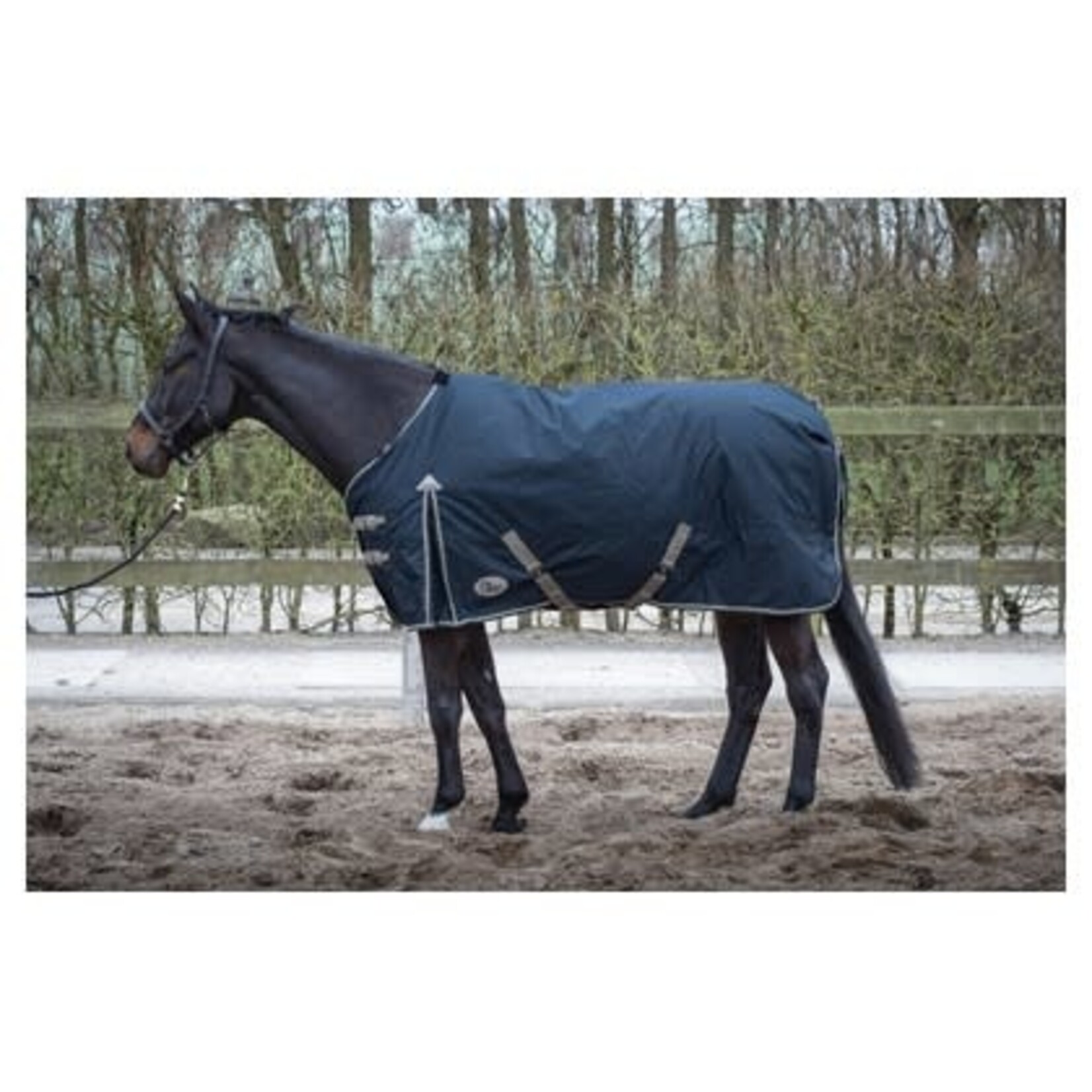 Harry's Horse Harry's Horse outdoordeken thor 300gram