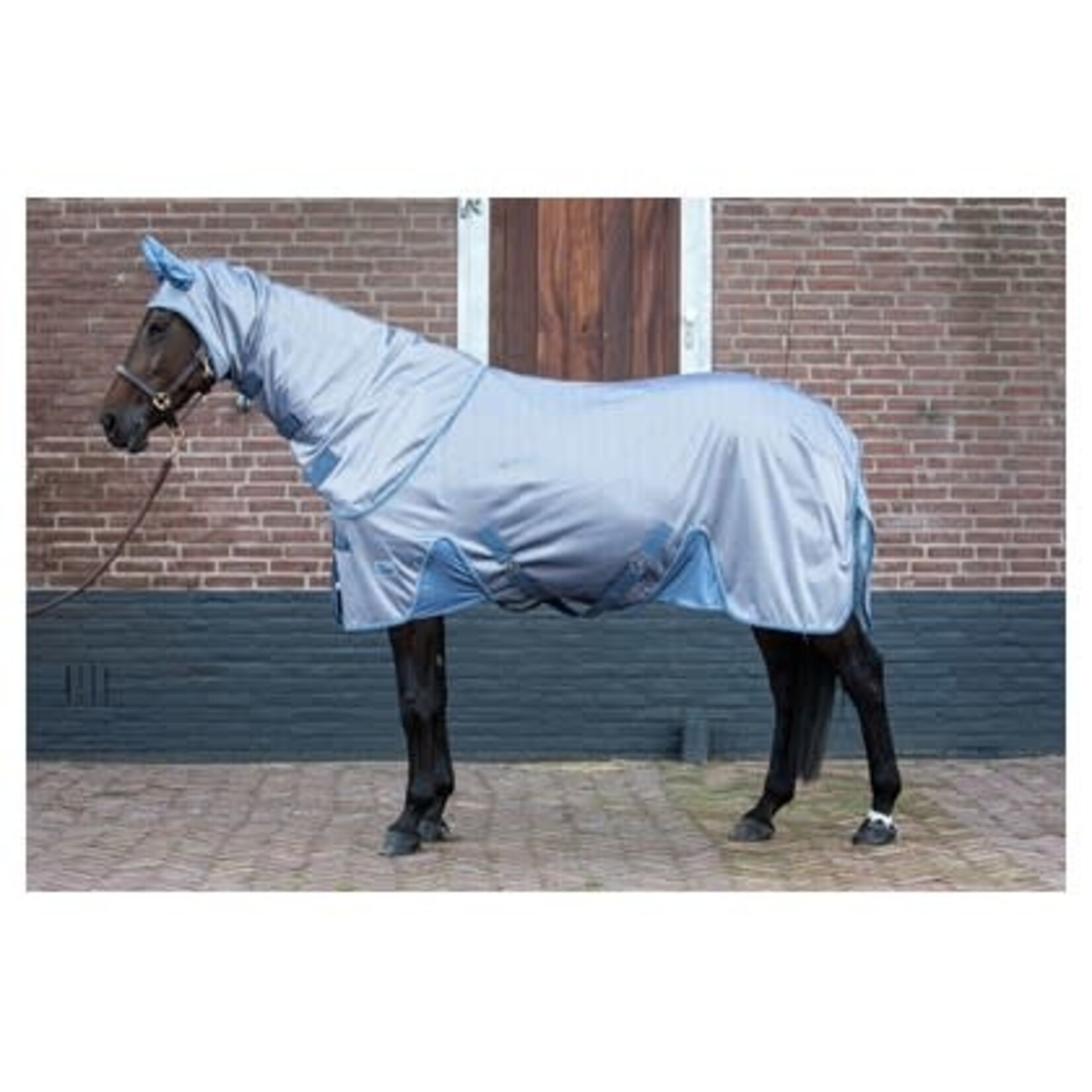 Harry's Horse HH Vliegendeken mesh Reflective losse hals