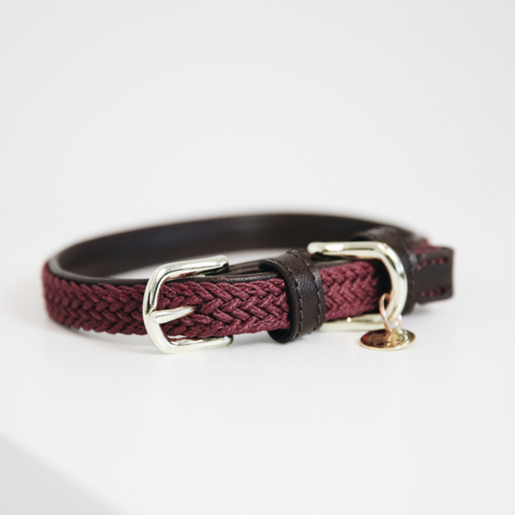 Kentucky Kentucky Gevlochten Nylon Hondenhalsband Bordeaux