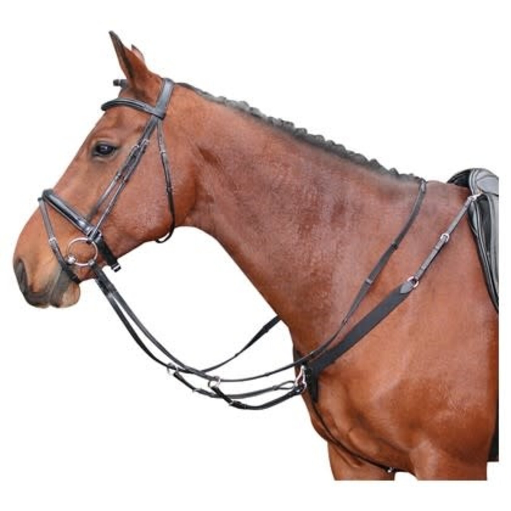 Harry's Horse Harry's Horse elastisch voortuig zwart