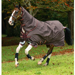 Amigo Amigo Bravo 12 Plus 100 gram Brown/Red