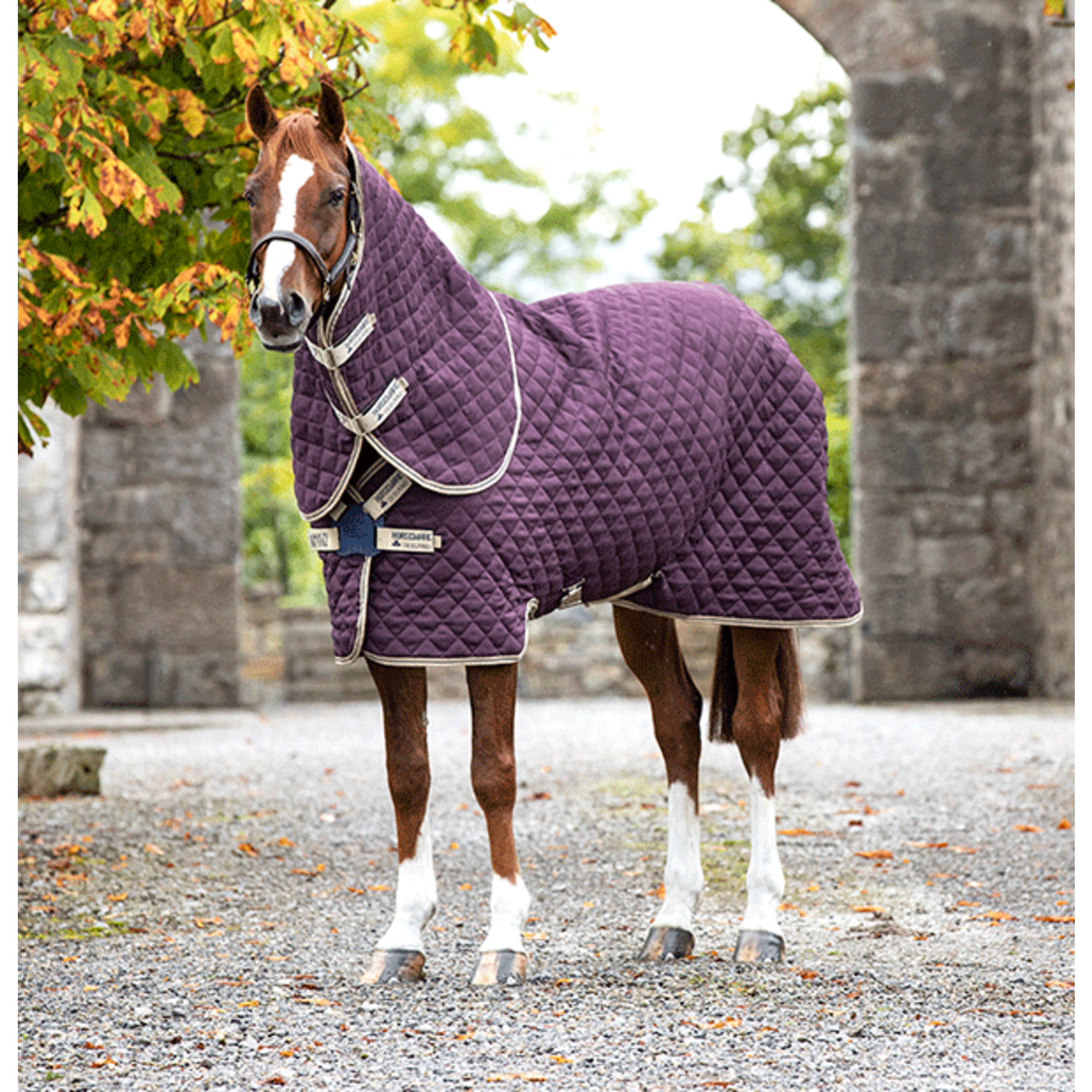 Amigo Amigo Stable Plus 200gr Disc/Navy&Tan