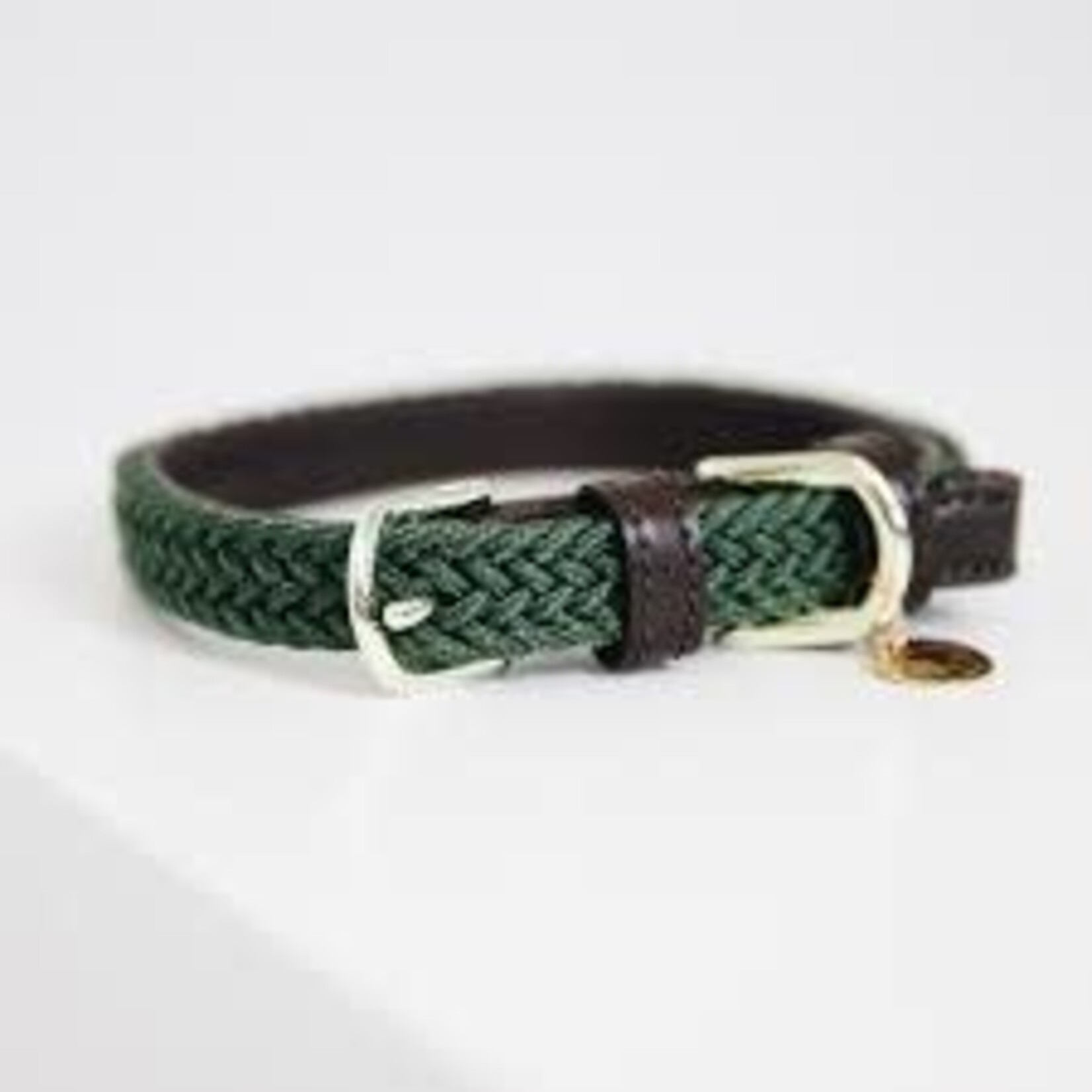 Kentucky Kentucky Gevlochten Nylon Hondenhalsband Olijfgroen