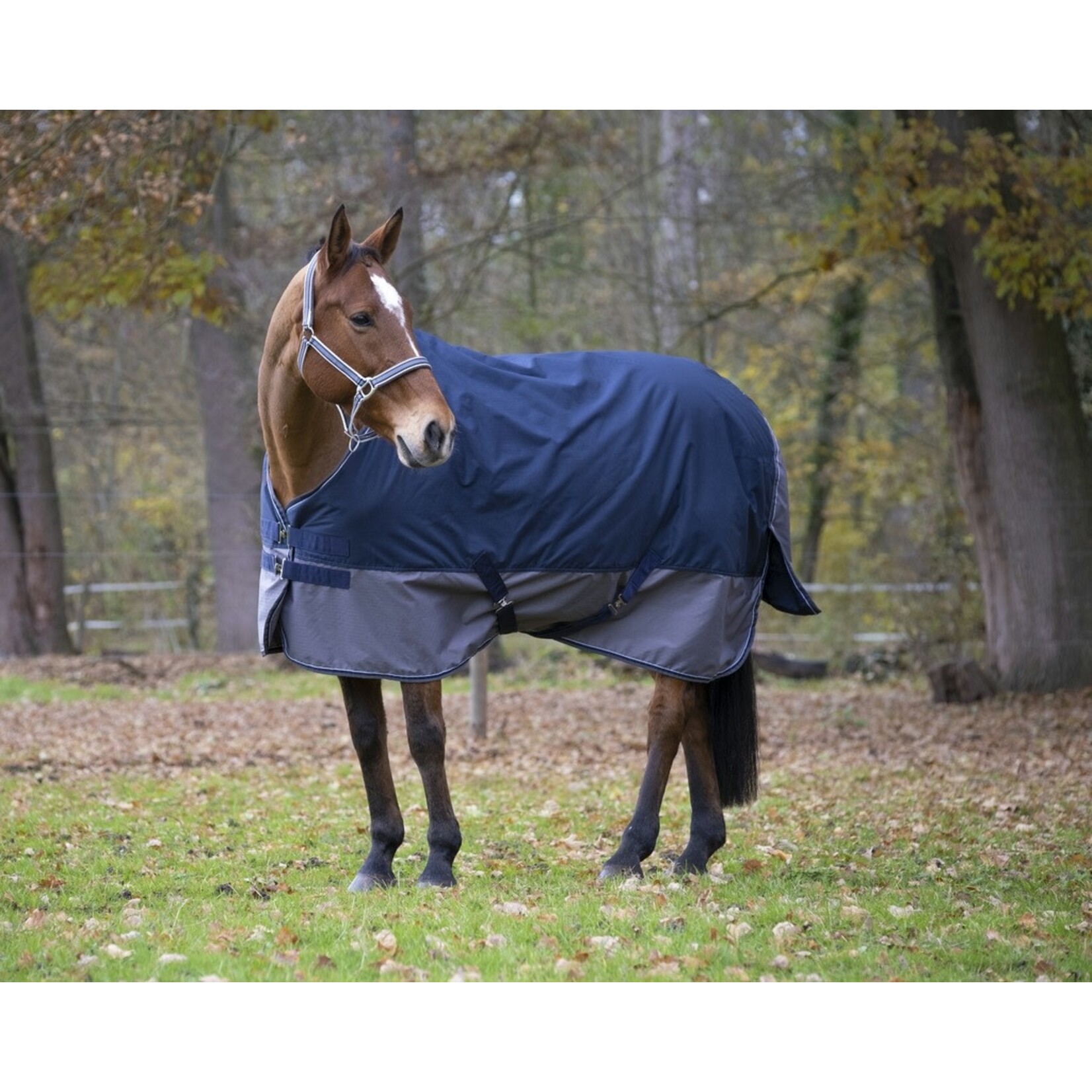 Equithème Equitheme Tyrex 600 outdoordeken 0 gram