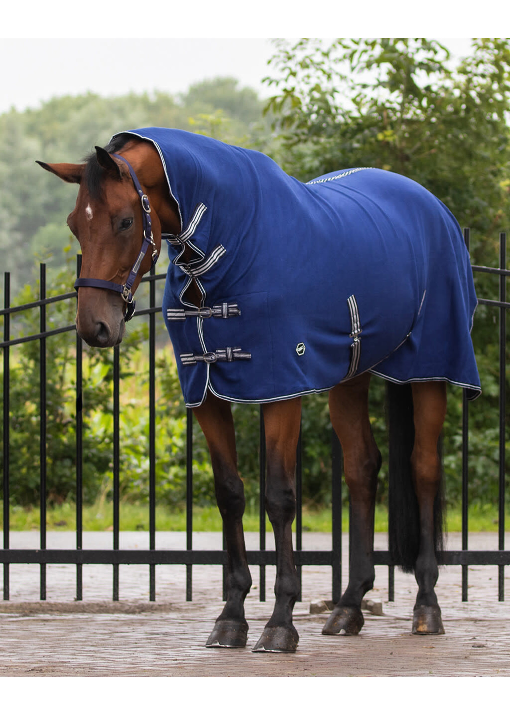 paradijs Versterken Horzel QHP Basic fleecedeken met hals blauw - Paardensport Cavallino