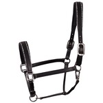 Harry's Horse HH Halster Leder Sparkle Zwart