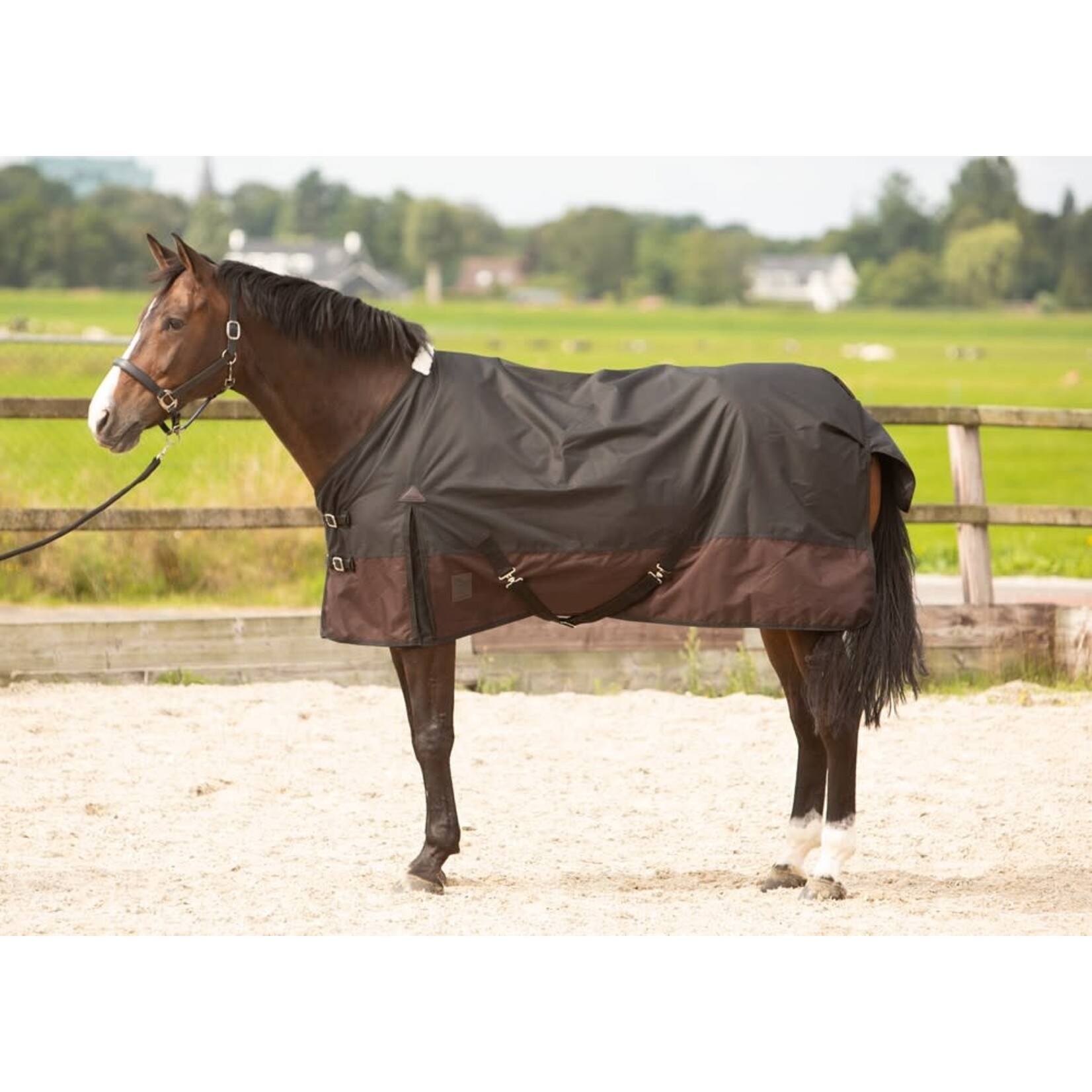 Harry's Horse HH Outdoordeken Thor 0gr Jet Black