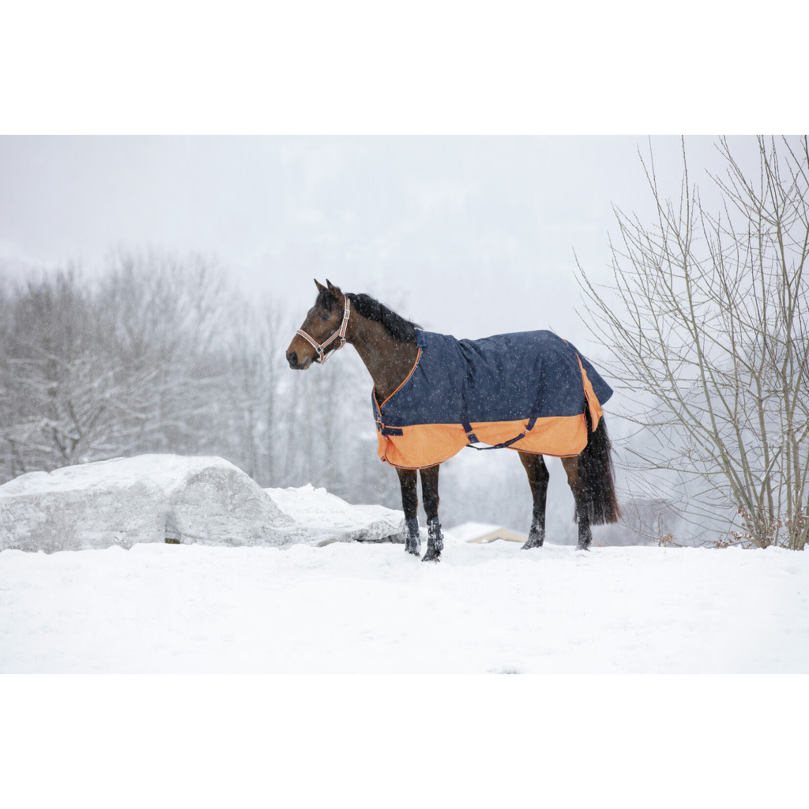 Equithème Equitheme Tyrex 600 outdoordeken 0 gram navy/orange