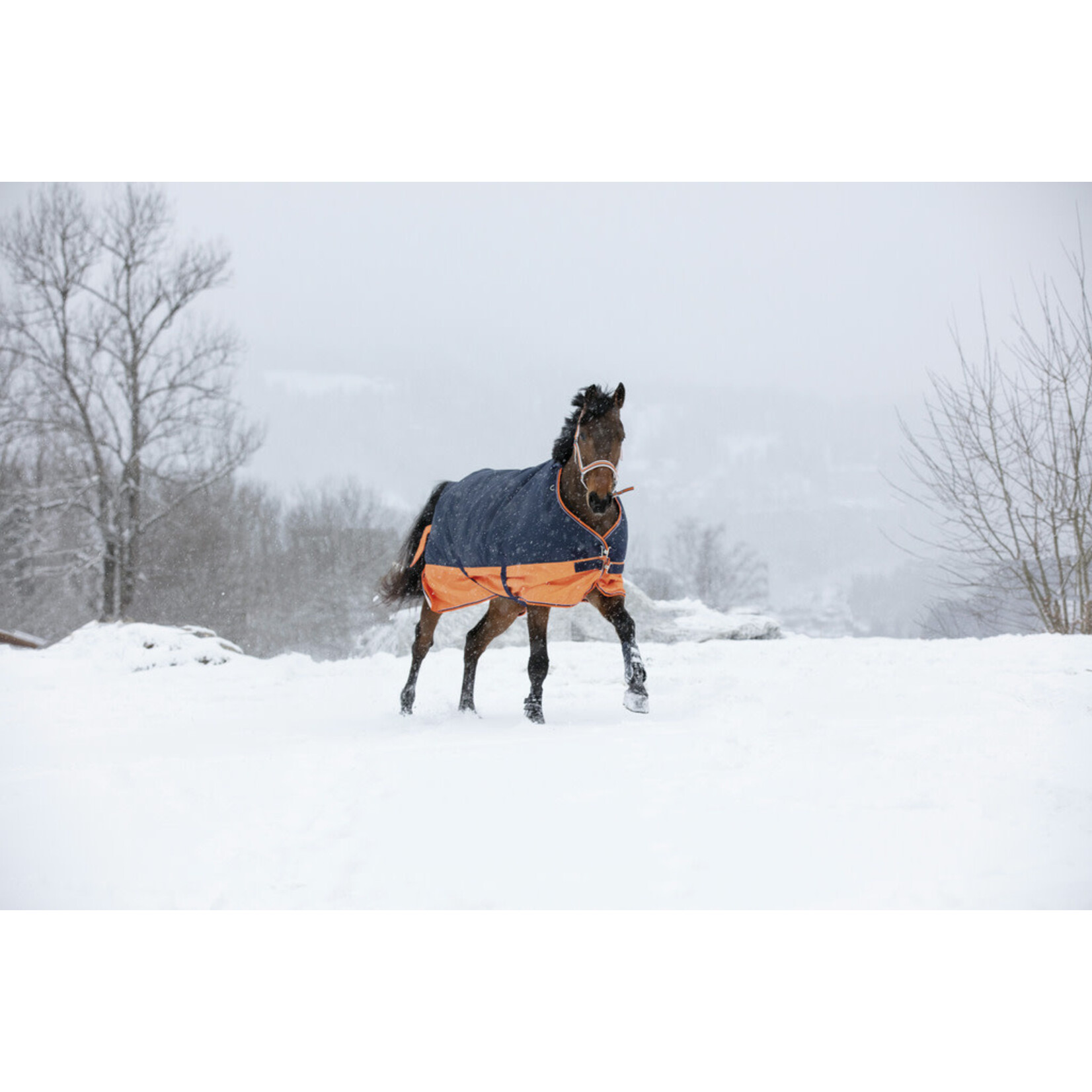 Equithème Equitheme Tyrex 600 outdoordeken 0 gram navy/orange