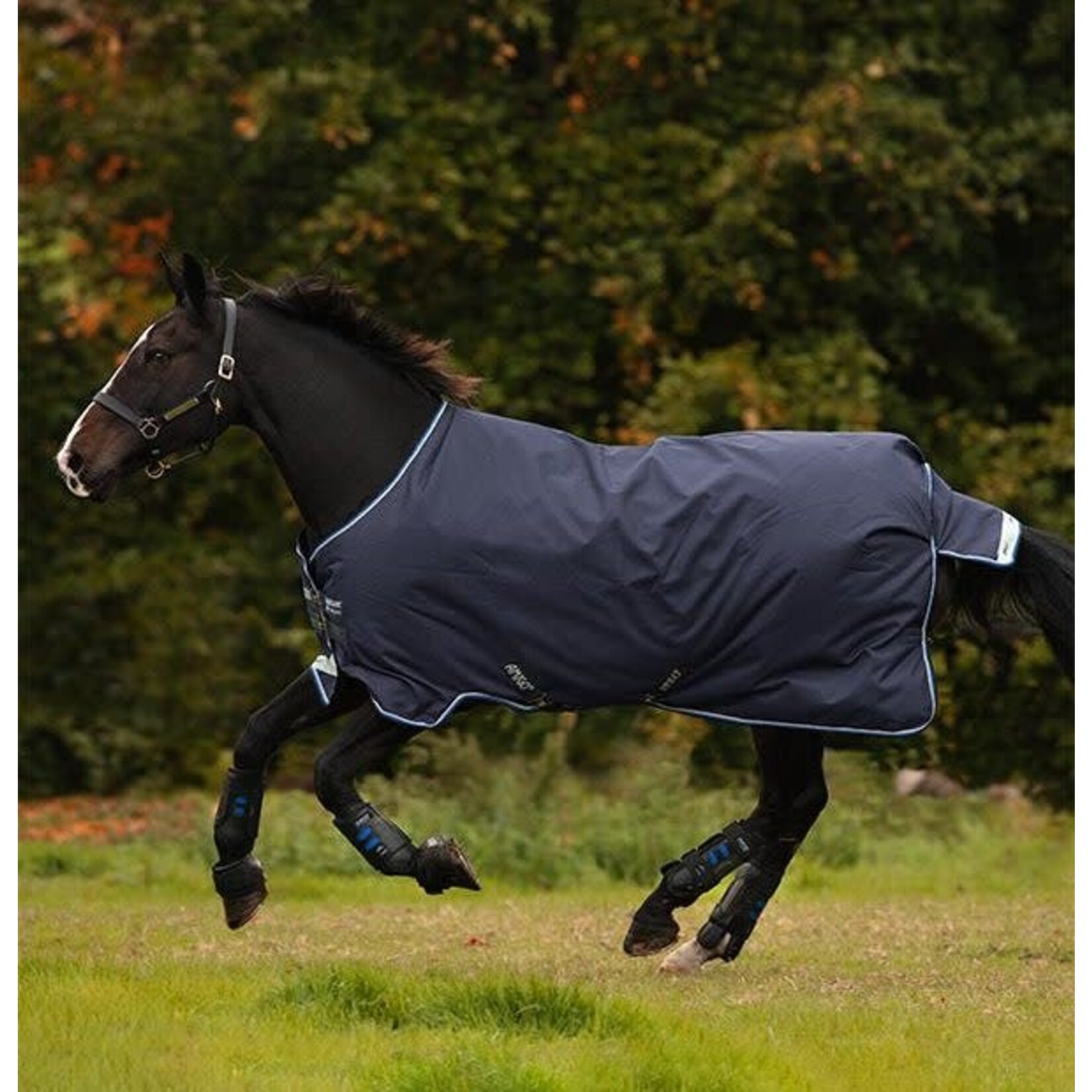 Horseware Amigo Bravo12 100g