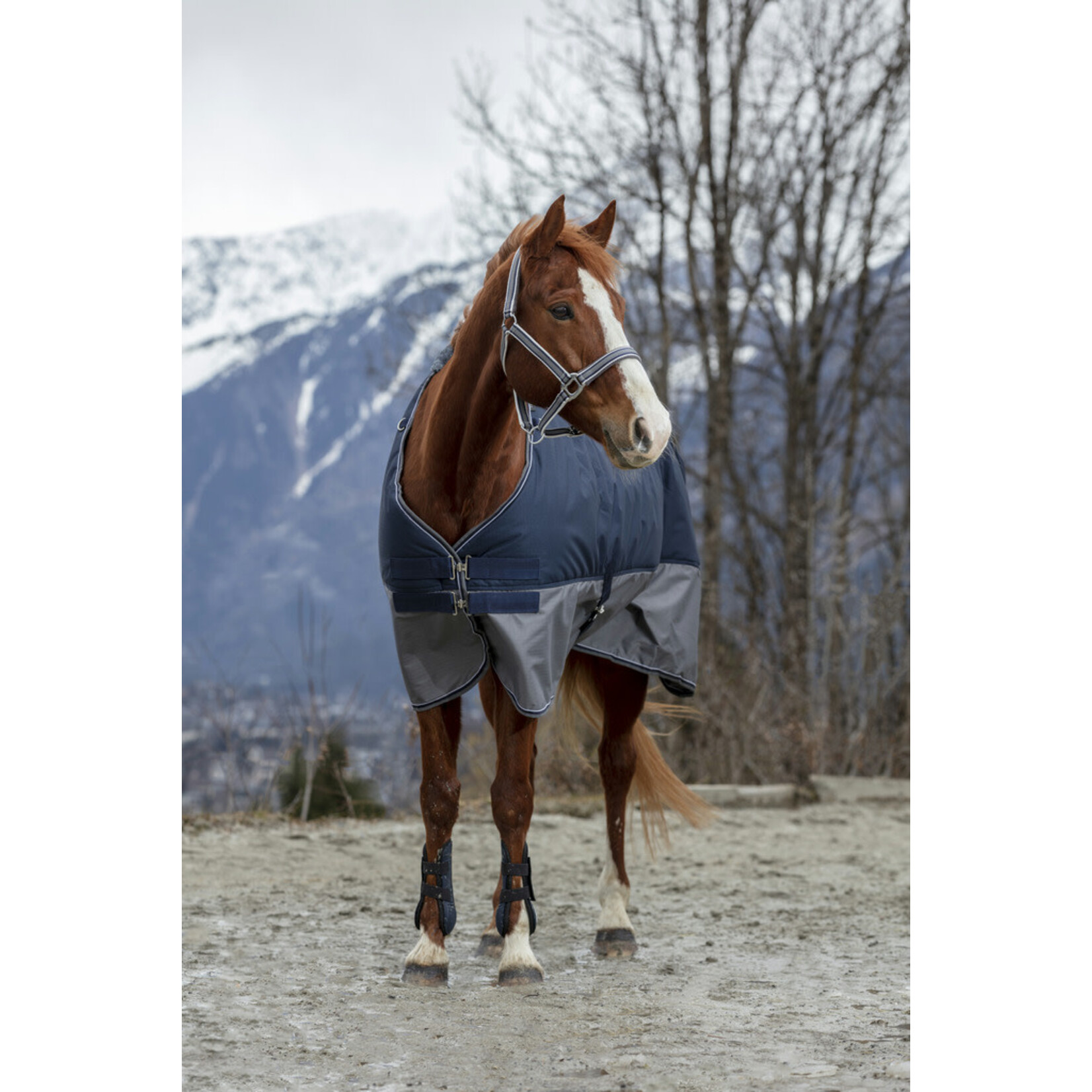 Equithème Equitheme Outdoordeken 0gr Grijs/Blauw