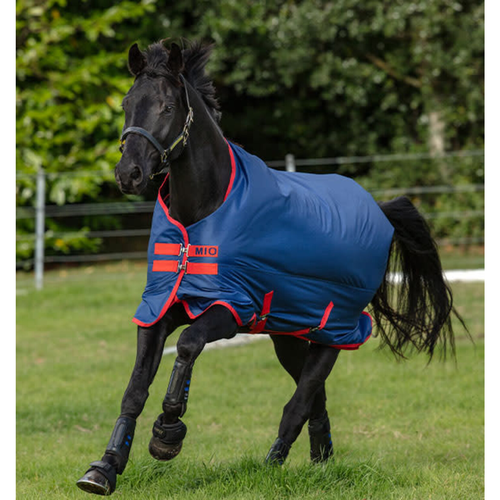 Horseware Mio turnout M 200g Dark blue/red