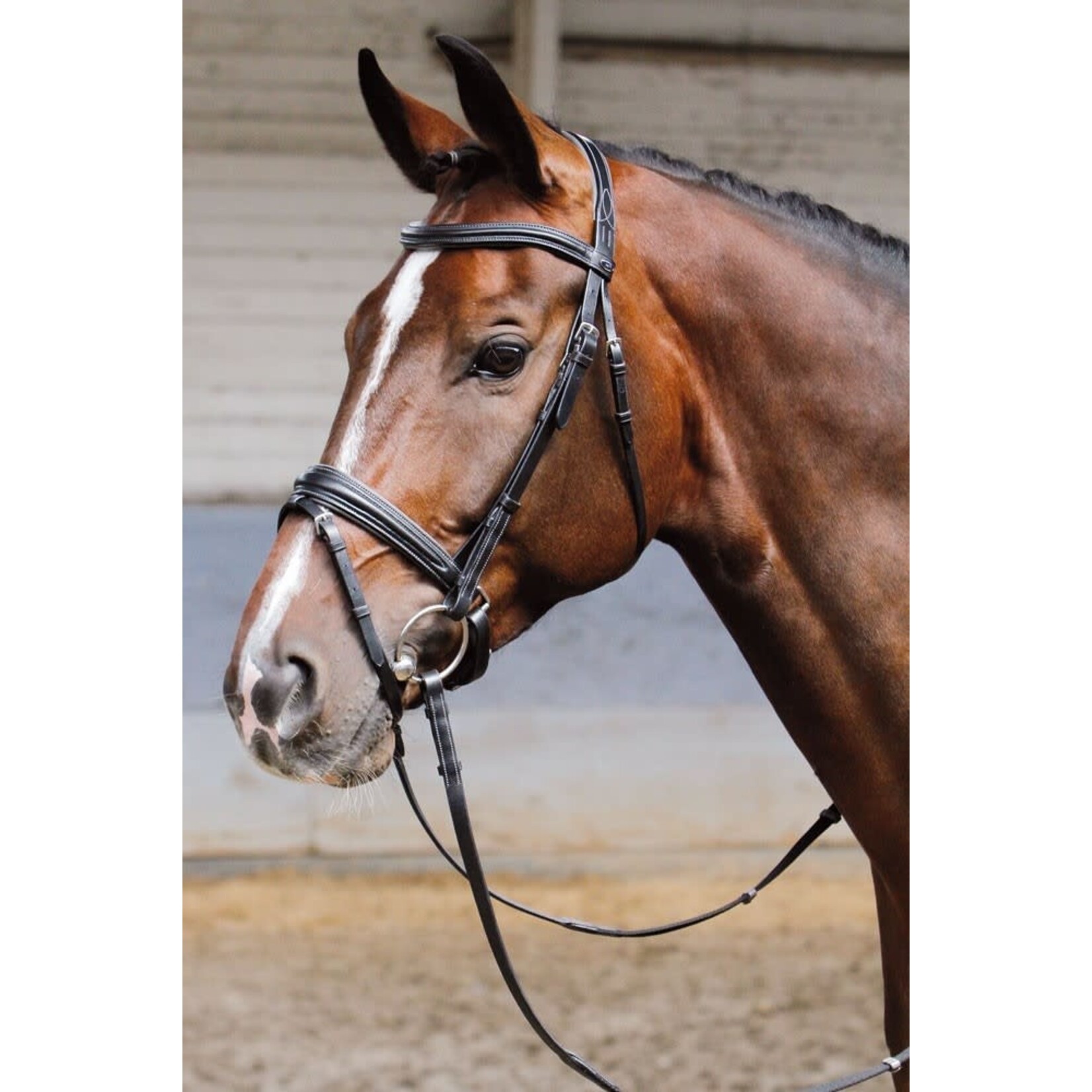 Harry's Horse HH Hoofdstel Soft Zwart