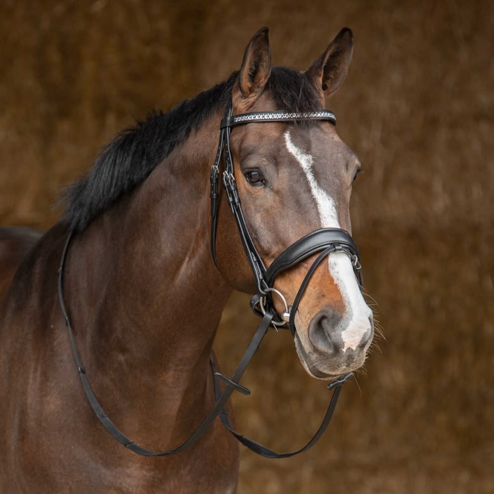 Harry's Horse HH Hoofdstel Drops Zwart