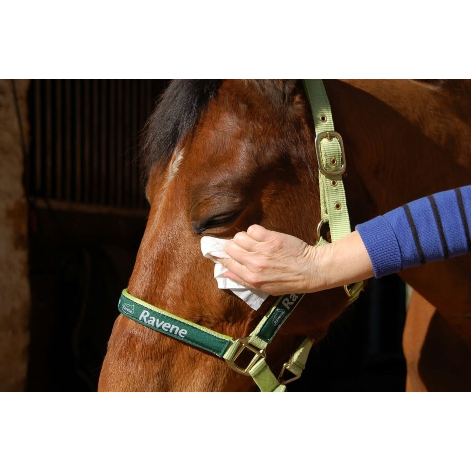 Ravene Easy Shine Ravene Wipe 25st