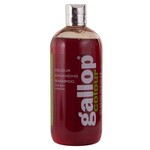 Carr&Day&Martin Shampoo CDM Gallop Bay 500ml