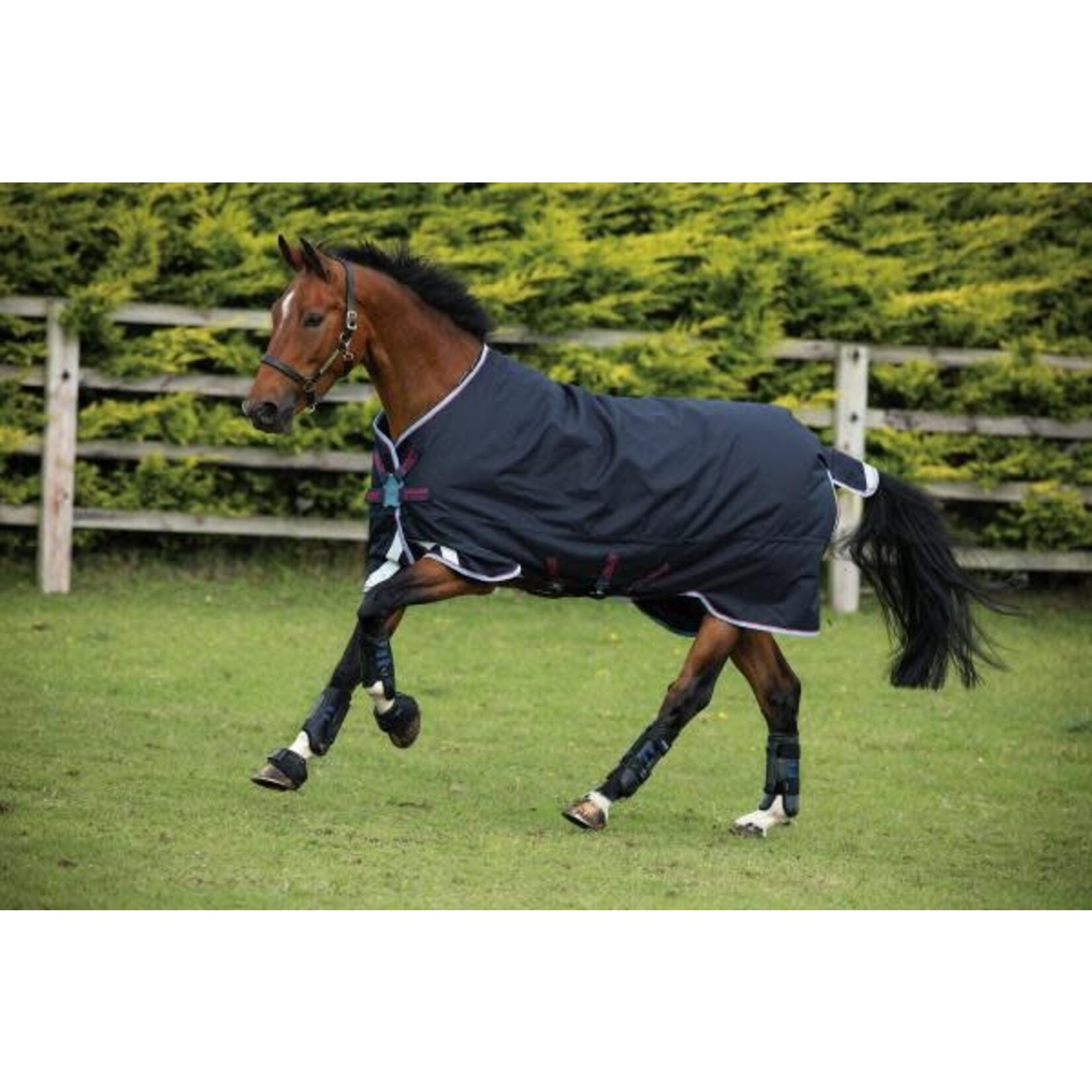 Horseware Amigo Bravo 12 Original 100gram