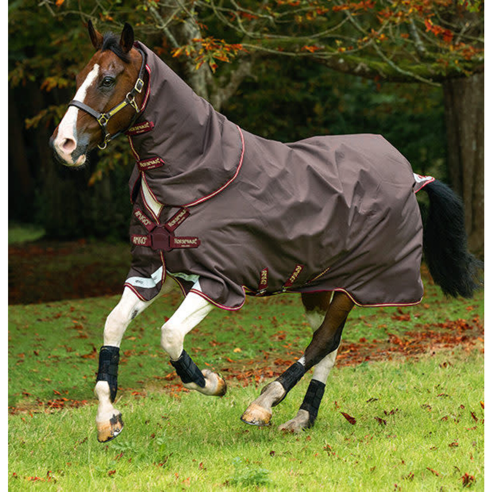 Horseware Amigo Bravo 12 Plus 100 gram Brown/Red