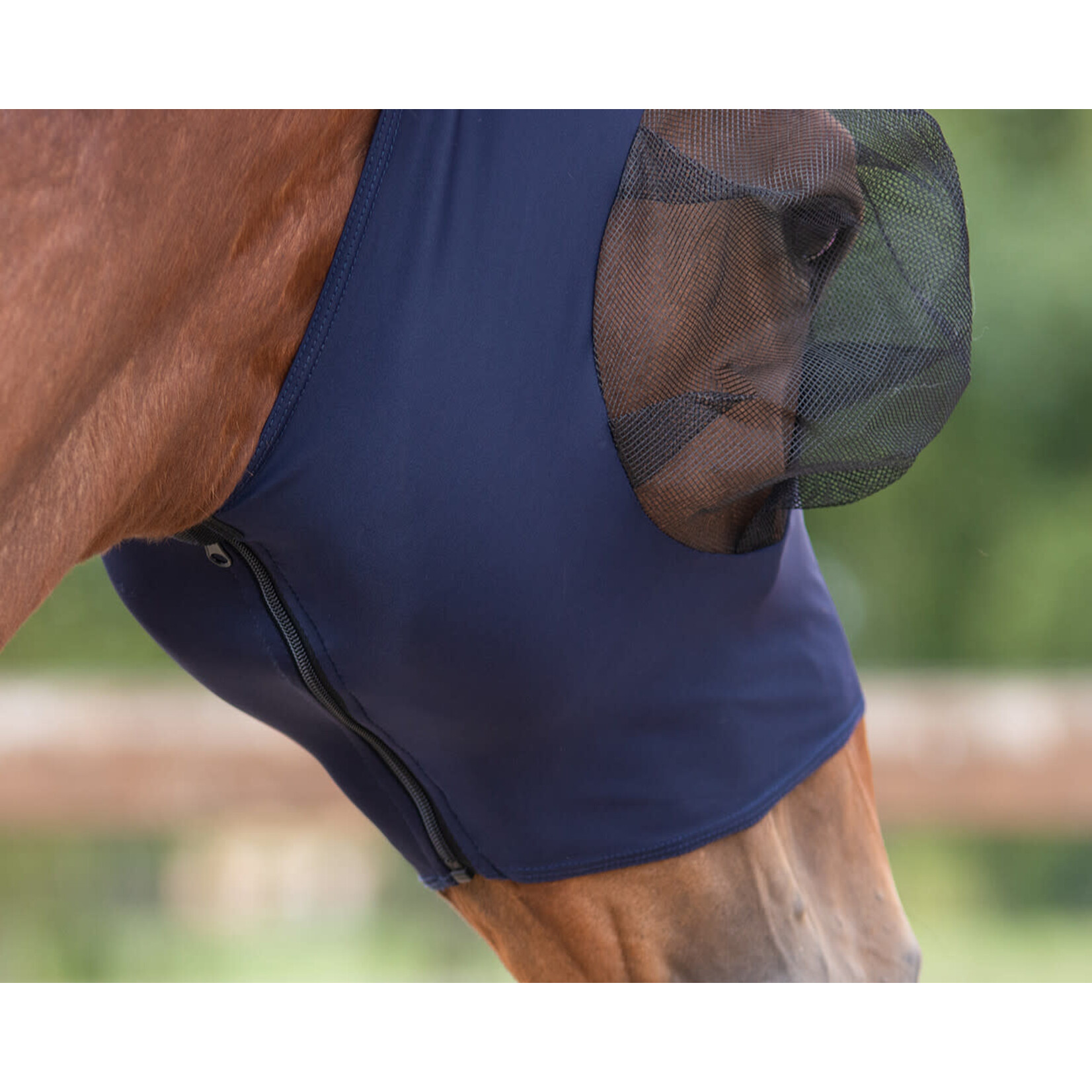 QHP QHP Vliegenmasker Super Bug Navy