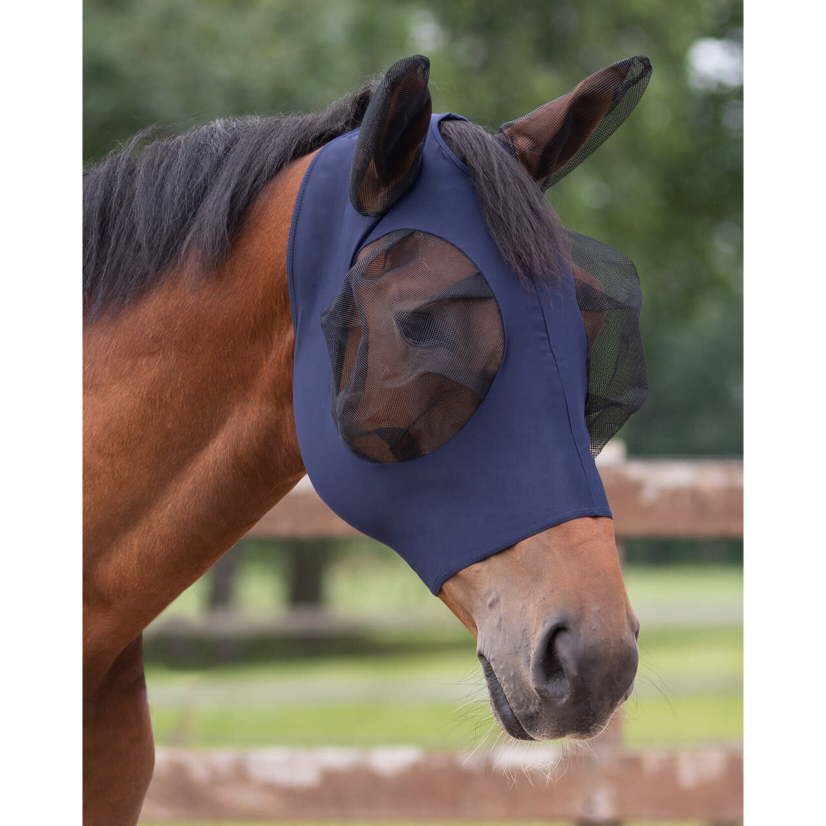 QHP QHP Vliegenmasker Super Bug Navy