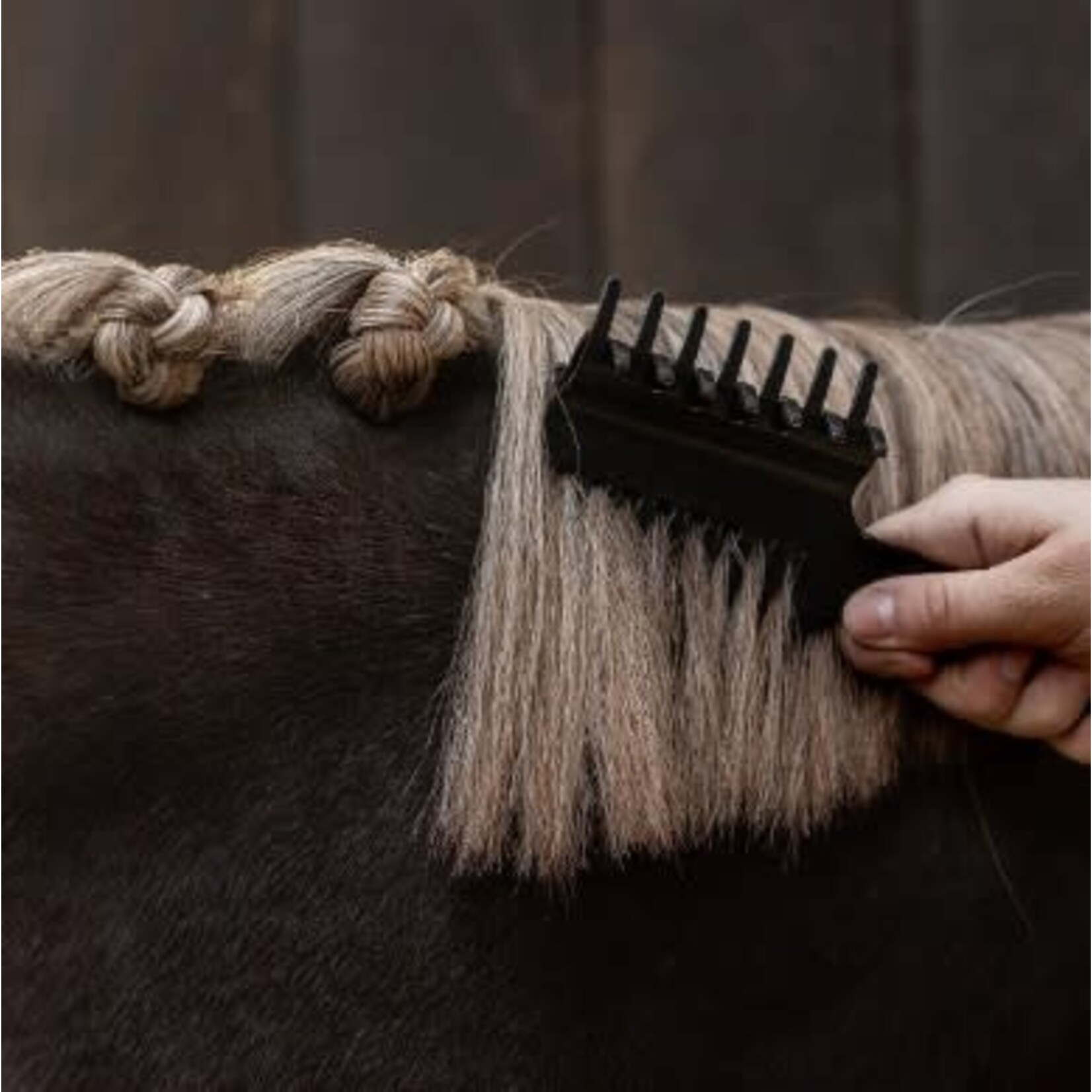 QHP Manenkam met Klem Zwart