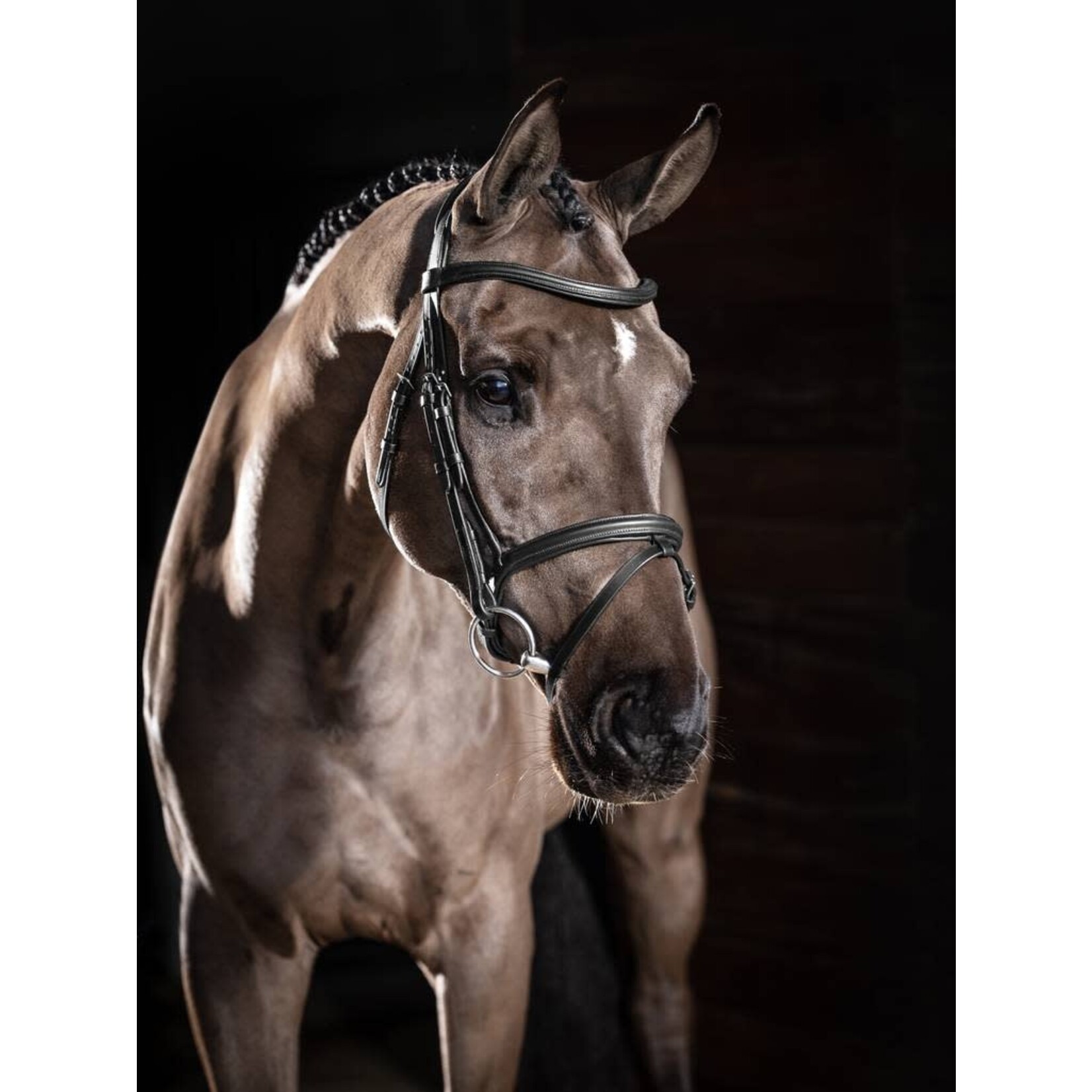 LeMieux Lemieux Hoofdstel Arika Flash Zwart