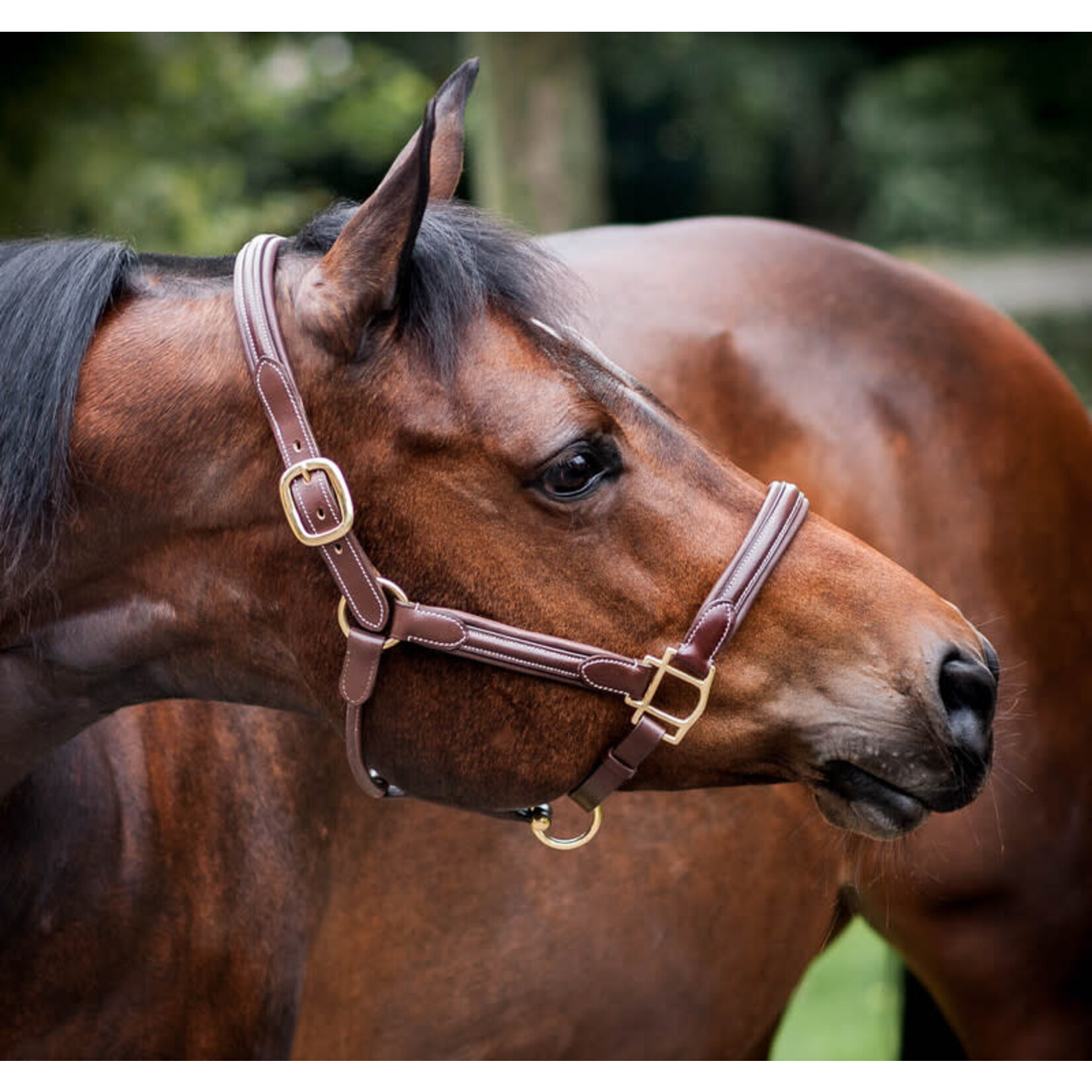 LJ LJ Halster Zacht Onderlegd