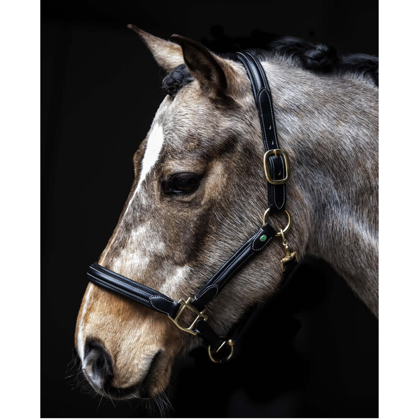 LJ LJ Halster Zacht Onderlegd