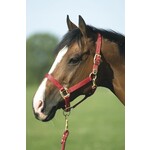 Equithème EQUITHÈME Nylon halster