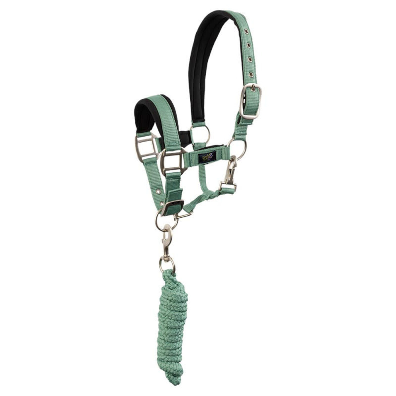 BR BR Mini Horse halster met touw