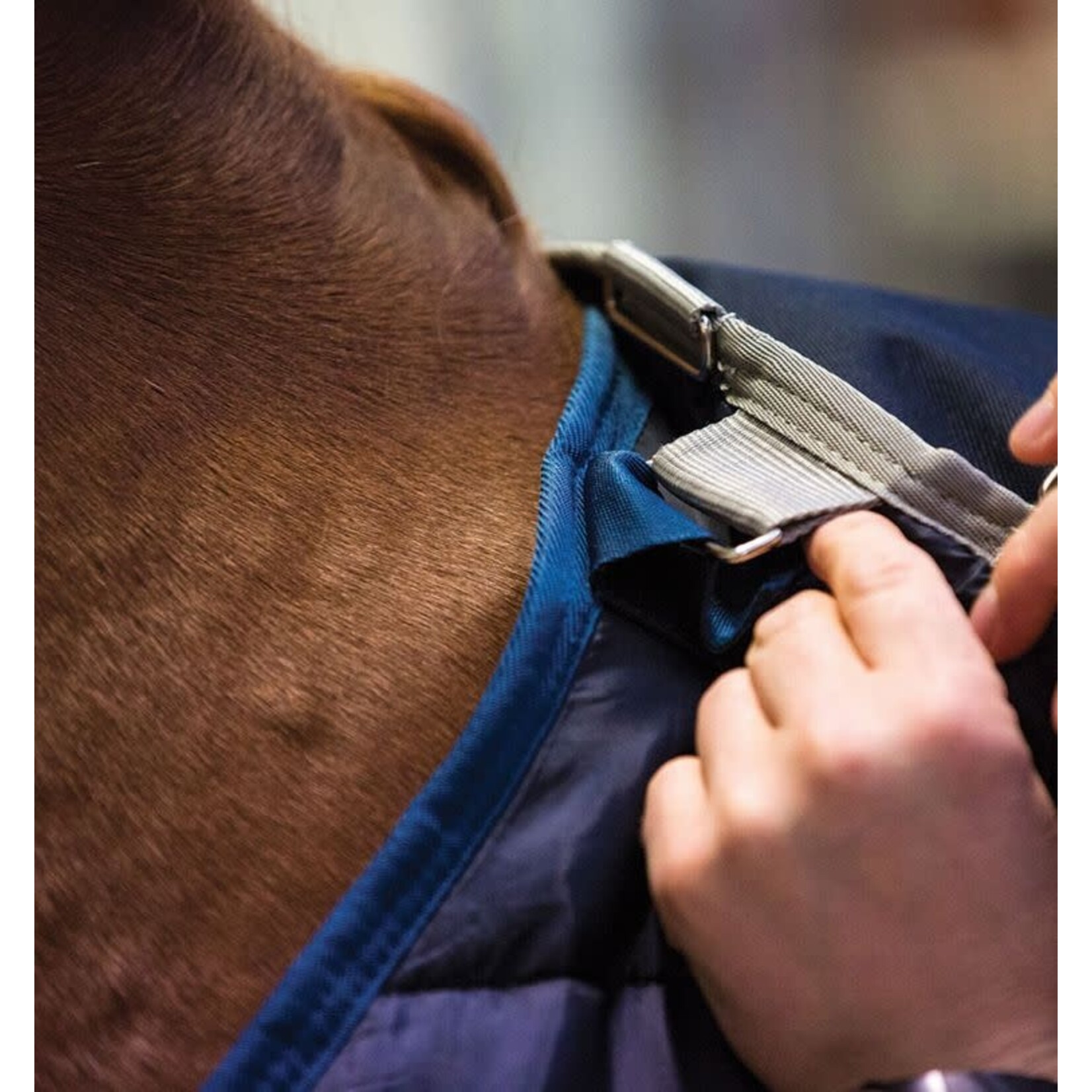 Horseware Horseware Liner 100g